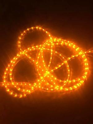 China Orange outdoor led rope lights for sale