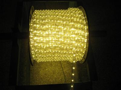 China warm white led rope light for Christmas decoration for sale