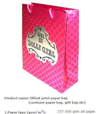 China bolsa de papel de la cuerda de los pp/bolso que hace compras de papel con 15 años de experiencia/ropa de bolsa de papel en venta
