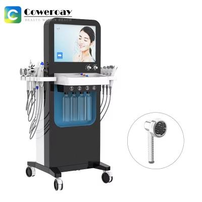 China Equipo de limpieza facial 13 en 1 Máquina de masaje de microdermación hidráulica en venta