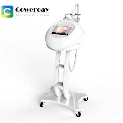 China OEM Micro Needle RF Machine , Fractional RF Beauty Machine for Skin Tightening Face Lift for sale