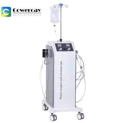 China Water Microdermabrasion Machine , Spa Beauty Oxygen Jet Peel Machine for sale