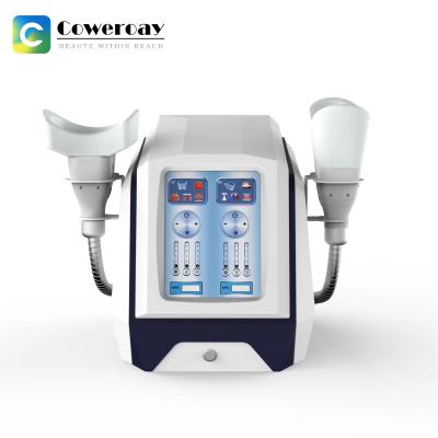 China Portable Painless Cryolipolysis Slimming Machine Freezing Fat Double-chin Removal Machine for sale