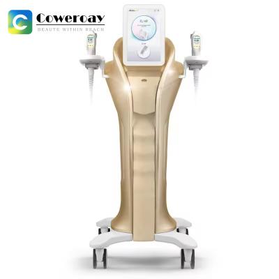 Chine Machine à ultrasons mini HIFU multifonctionnelle Anti-vieillissement de la peau à vendre