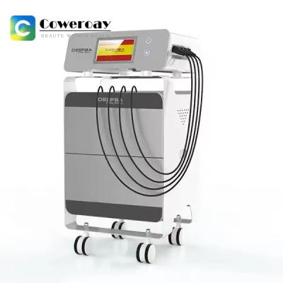 China 448khz Tecar Cet Ret Machine RF Physiotherapy Diathermy Machine for sale