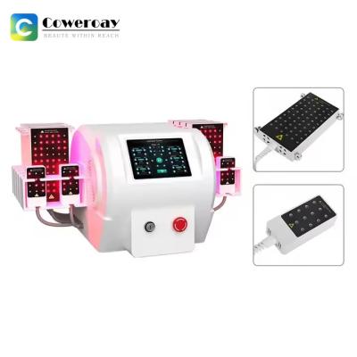 China 6D Lipolaser máquina de adelgazamiento corporal Diodo de luz roja máquina de pérdida de peso láser en venta