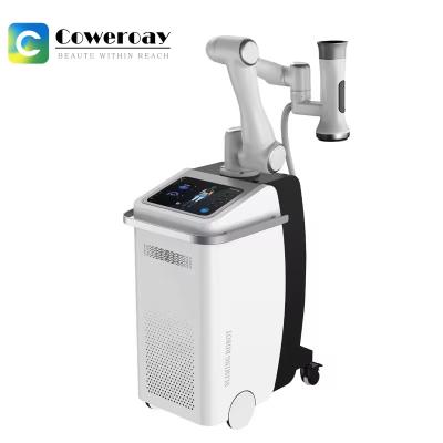 China 360 Cryolipolysis Slimming Machine Cryo+EMS Stimulation Machine For  Fat Reduction for sale