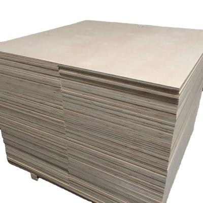 China Modern 4x8 Plywood with Birch Veneer Hardwood Plywood Birch Veneered Plywood for Canada Market à venda