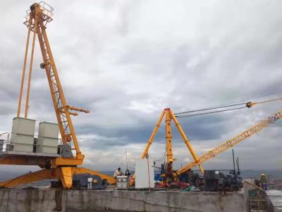 Cina Torre Crane For Roof Lifting della costruzione di controllo 60HZ 3ton dell'invertitore in vendita
