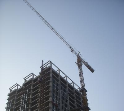 China Turm-Crane Withs 12ton des elektrischer Selbst50hz kletternde Tragfähigkeits-Platten-Art zu verkaufen