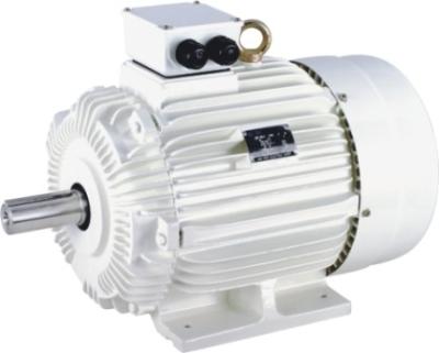 China Vibration IEC-Standardmotoren En 60034 1 Motor Iec 34 1 Motor zu verkaufen