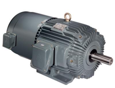 China Inverted Induction Motor To Generator Three Phase Adjustable Frequency for sale