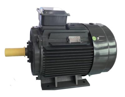 China AC  Asynchronous Inverter Motors General Purpose for sale