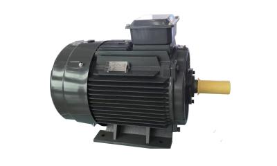 China Cast Iron Asynchronous Inverter Motors Three Phase Inverter Duty for sale