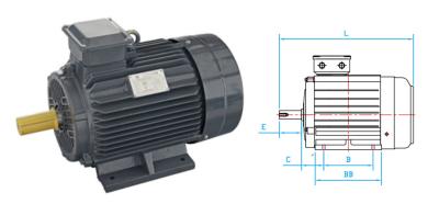 China Triple Phase Dual Asynchronous Electric Motors YE2 Cast Iron Horizontal for sale