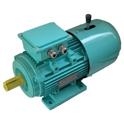 China 2 Speed 3 Phase Asynchronous Motor 6 Pole Induction Motor Squirrel Cage Rotor for sale