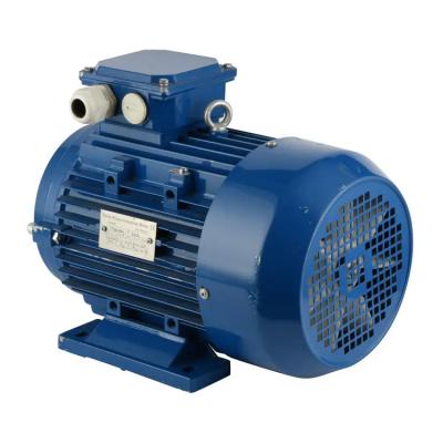 China 3 Phase Squirrel Cage Type Induction Motor Aluminum 380V 50HZ 60HZ 1440 Rpm for sale