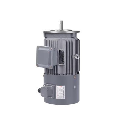 China Brushless Asynchronous Induction Motors 40hp 30kw 200kw 250kw 280kw 315kw for sale