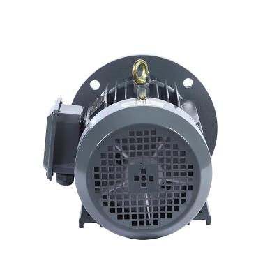 China 15 Hp 25 Hp 40 Hp Foot Mounted Induction Motor 3 Phase 3000 Rpm Acid Pump Motor for sale