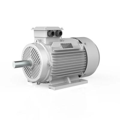 China Iec 34-1 Compact Asynchronous Motor Industrial 0.18-630kw Electric AC 380V for sale