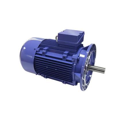 China Squirrel Cage Rotor Induction Motor 10kw 96v 3 Phase  6000rpm for sale