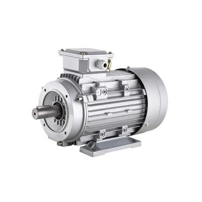 China Four Pole Induction Motor 4 Pole Electric Motor 3 Phase Cast Iron Copper Wire for sale