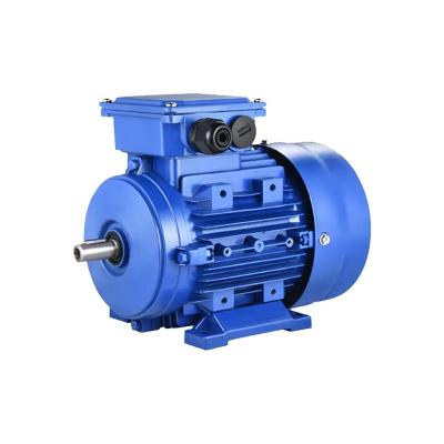 China 7.5 Hp 7 Hp 3 Phase Asynchronous Electric Motor 5.5kw 400v 50hz IP55 for sale