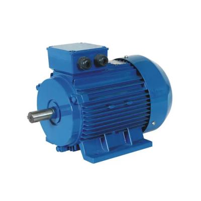 China 1hp Brushless Asynchronous Induction Motor 3 Phase Air Compressor Motor 240v for sale