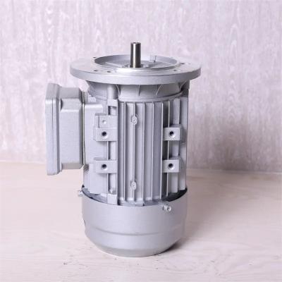China 3 Three Phase Ac Induction Motor Manufacturers for sale