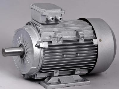 China Two Pole Induction Motor 2 Pole 220V High Low Rpm 3 Hp Ac for sale