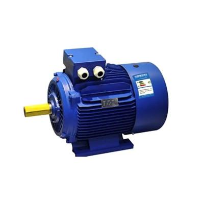 China Efficiency Class Iec Ie3 Motor Cast Iron 3 Phase Cage Induction Motor for sale