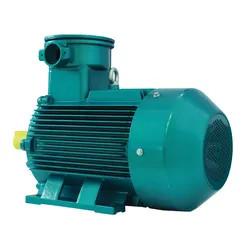 China Ie2 Ie3 Class Motor 3 Phase Asynchronous Electric Motor for sale