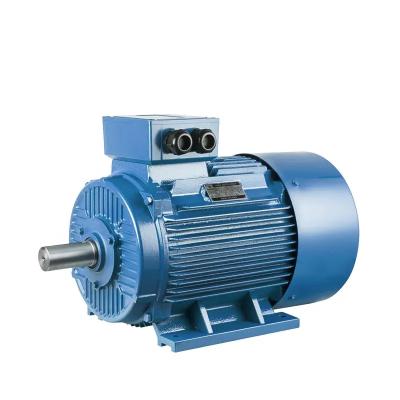 China Stator Slip Ring And Squirrel Cage Induction Motor 3 Phase 2 Pole 4 Pole for sale