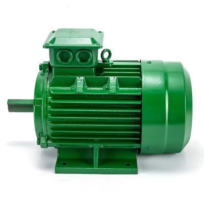 China 48v 4 pole 3 phase squirrel induction motor for elevator Single Phase Asynchronous Motor for sale
