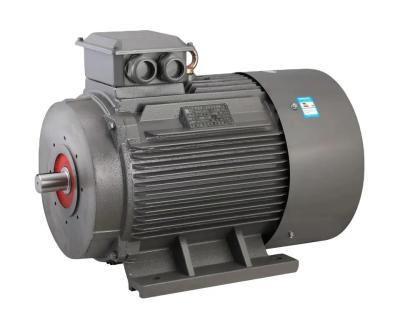 China Squirrel Cage 3 Phase Induction Motor For Automatic Washer for sale