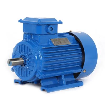 China 2 Hp Single Phase And 3 Phase Induction Motor Ac Or Dc Brushless Asynchronous Motor for sale