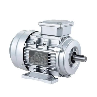 China 10 Hp 20 Hp Ac Squirrel Cage Induction Motor 100kw for sale