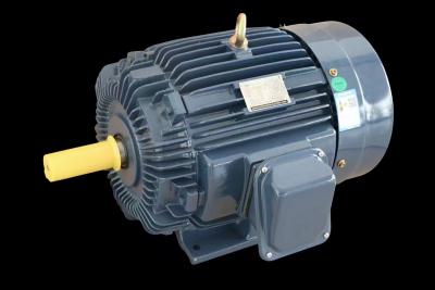 China Industrial Three-Phase Induction Motor IP55 Protection F Level for sale