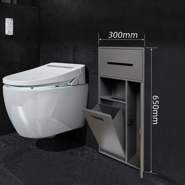 Quality Australia Hotel Bathroom Niche Modern Design Style for Toilet Brush and Shower for sale