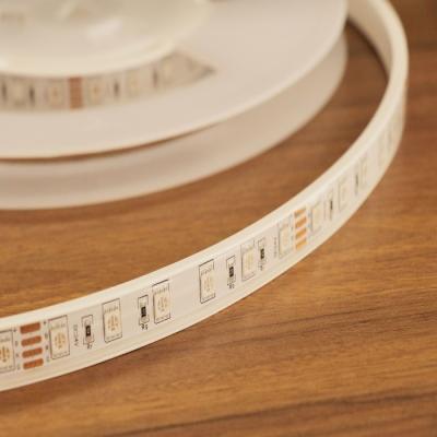 China 5050 IP68 RGB Color Changing LED Strip Lights For Outdoors And Marine Lighting for sale