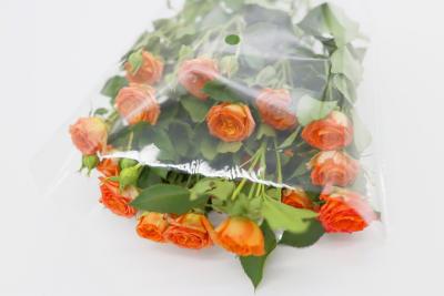 China Clear Cellophane OPP Packaging Bag Bouquet Wrapping Sleeve Fresh Flower à venda