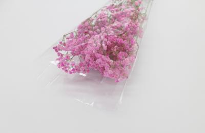 China Fresh Flower Salad OPP Packaging Bag Biodegradable Printed Self Adhesive en venta