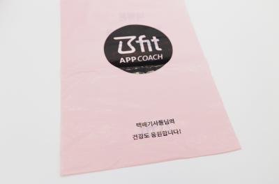 China Promotion Zipper Top Biodegradable Poly Bag Plastic Courier Mailing Envelopes à venda