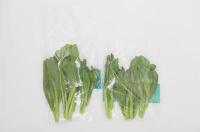 Κίνα Custom Plastic Clear Packaging Bag Resealable Self Adhesive Opp Cellophane Seal προς πώληση