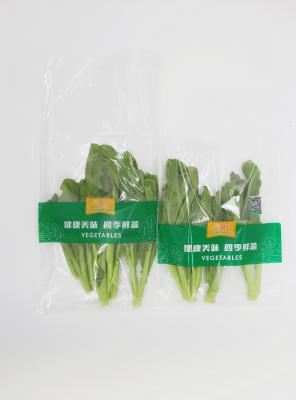 China High Barrier Clear OPP Packaging Bag With Self - Adhesive Tape 180 Micron en venta