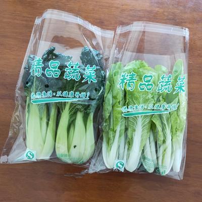 Chine Plastique zip-lock clair réutilisable de sac d'emballage d'OPP pour la laitue surgelée à vendre