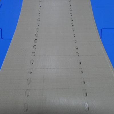 Chine GLASS FABRIC TEFLON CONVEYOR BAND/Welding conveyor/PLATEN BELT LEAD 2400/3000 4480*200/4520*200 à vendre