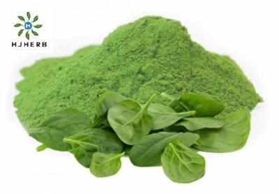 China Natural Dried Spinach Powder Green Vegetable Juice Powder for sale