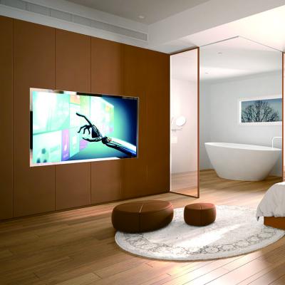 China 55 Inch Touch Sensor Glass Mirror TV With Display LCD Module for sale