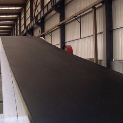 China ST1000 Special Conveyor Belts High Temperature Resistant for sale